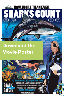 sharkscountposterbutton.jpg