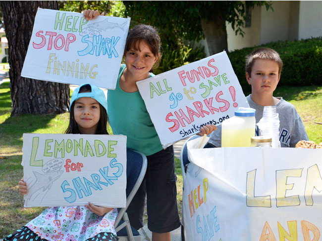 Lemonade Stand Raises Money for Sharks