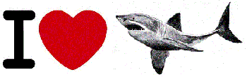 I_Love_Sharks_Logo-sm.gif