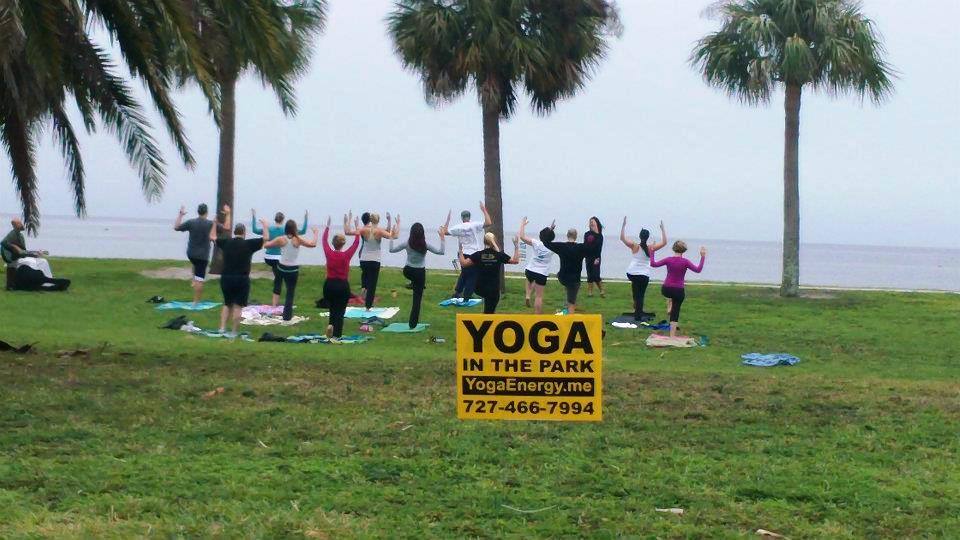 Yoga for Sharks