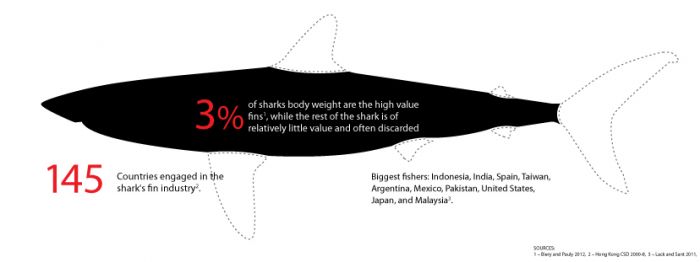 sharkFinInfographic.jpg