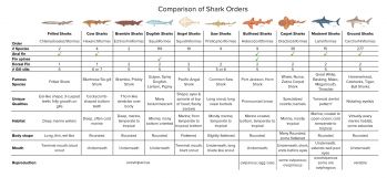 sharkComparisonChart.jpg