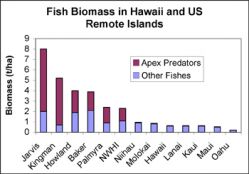 figure3bigfish.jpg