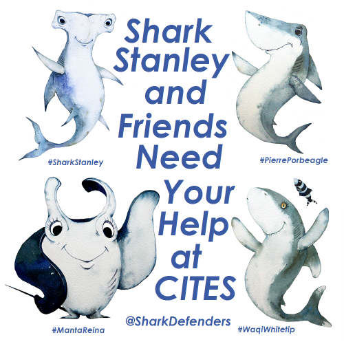 sharkstanleyandfriends.png