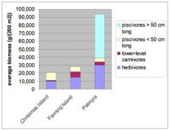 Figure2bigfish.jpg