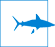 Shark Savers