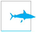 Shark Savers