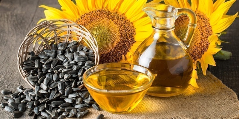 Sunflower Oil seeds and flower